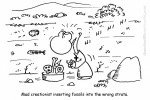 inserting fossils