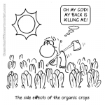 organic crops