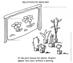 relativistic biology