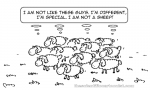 sheeps